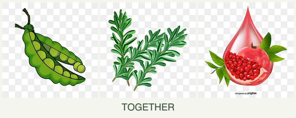 Can you plant peas, rosemary and pomegranates together?