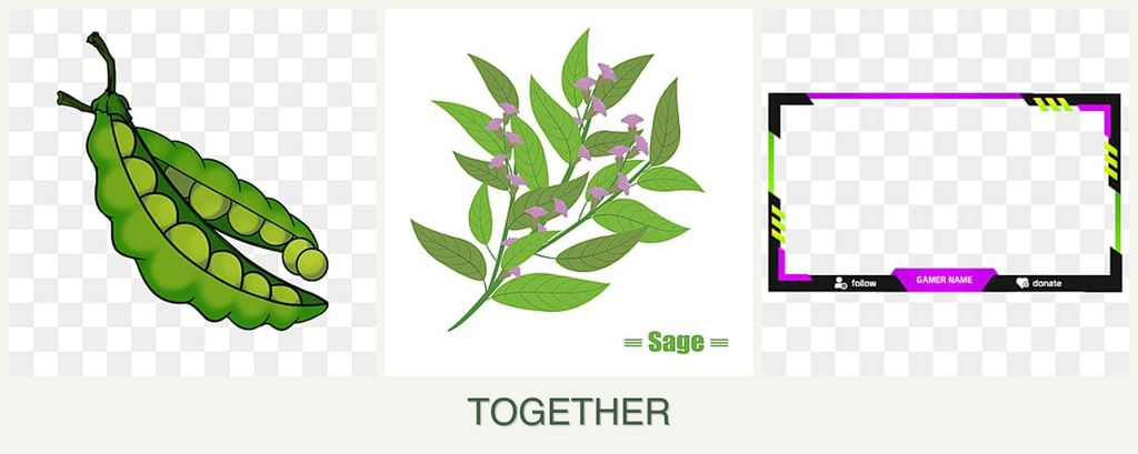 Can you plant peas, sage and limes together?