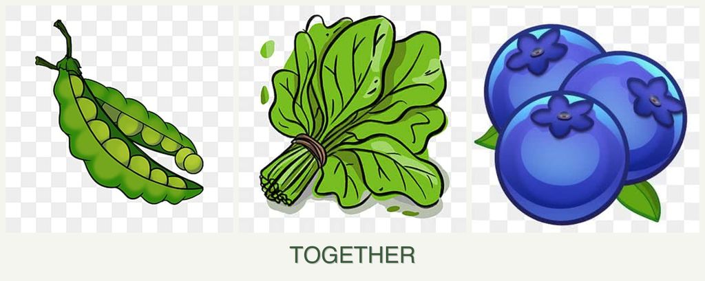 Can you plant peas, spinach and blueberries together?