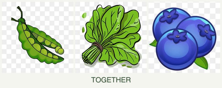 Can you plant peas, spinach and blueberries together?