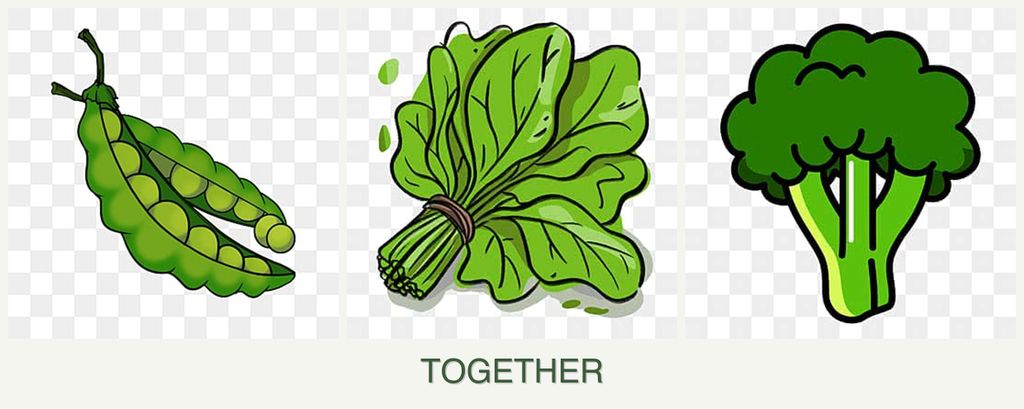Can you plant peas, spinach and broccoli together?