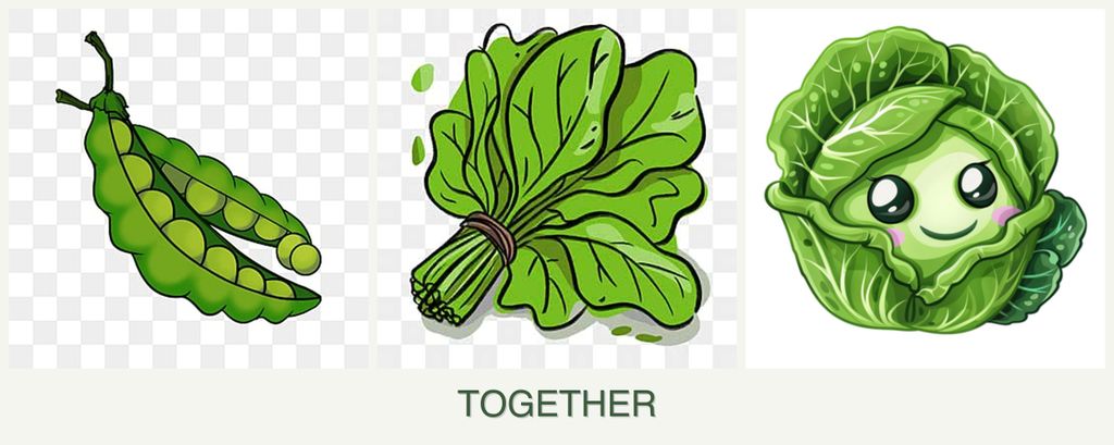 Can you plant peas, spinach and cabbage together?