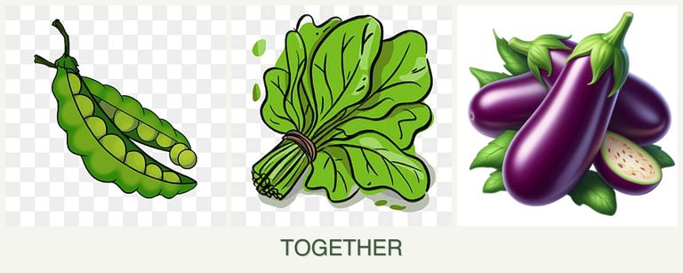 Can you plant peas, spinach and eggplant together?