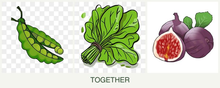 Can you plant peas, spinach and figs together?
