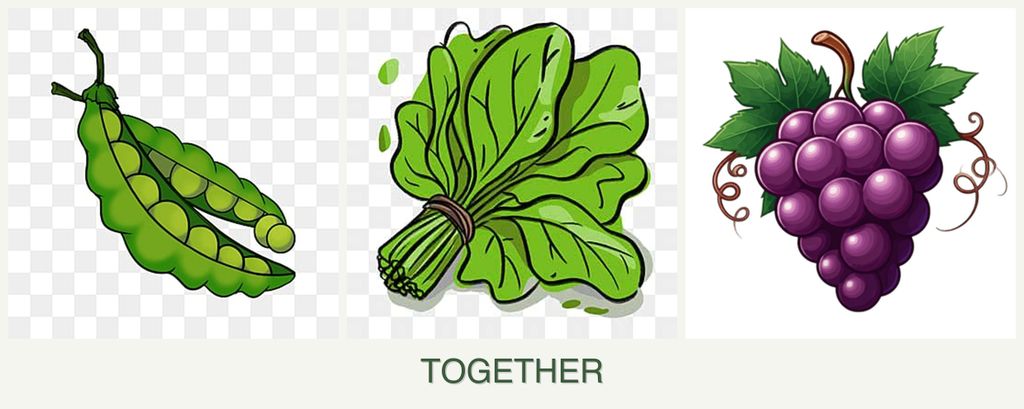 Can you plant peas, spinach and grapes together?