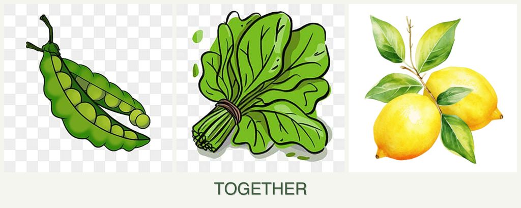 Can you plant peas, spinach and lemons together?