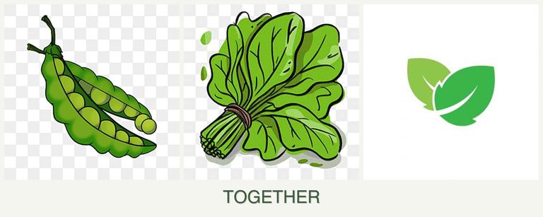 Can you plant peas, spinach and mint together?