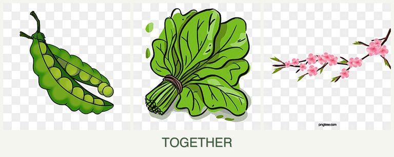 Can you plant peas, spinach and peaches together?