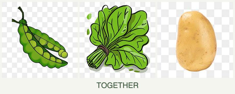 Can you plant peas, spinach and potatoes together?