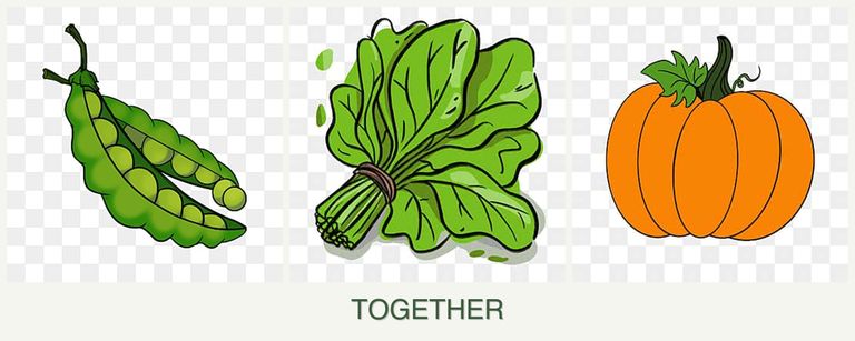 Can you plant peas, spinach and pumpkin together?