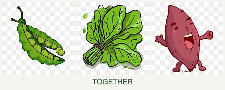 Can you plant peas, spinach and sweet potatoes together?