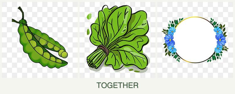 Can you plant peas, spinach and zinnias together?
