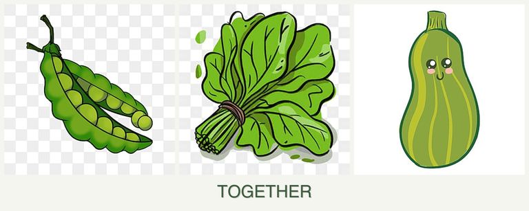 Can you plant peas, spinach and zucchini together?