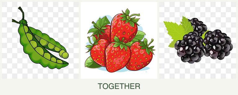 Can you plant peas, strawberries and blackberries together?
