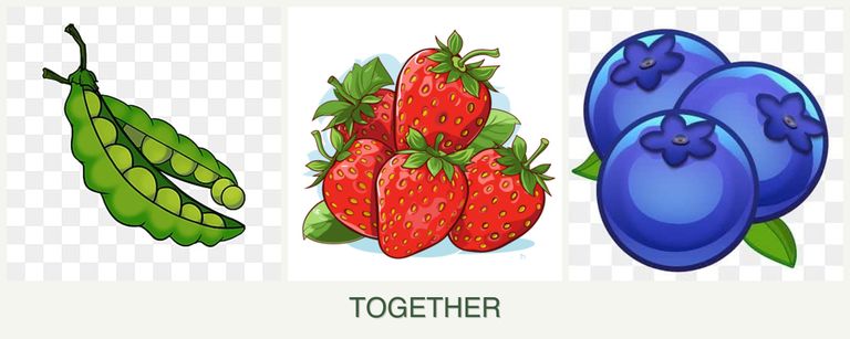 Can you plant peas, strawberries and blueberries together?