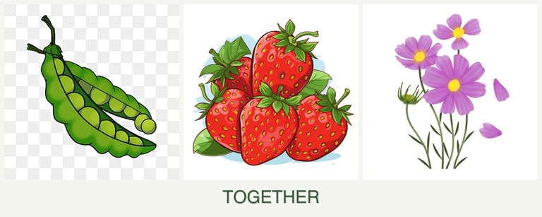 Can you plant peas, strawberries and cosmos together?