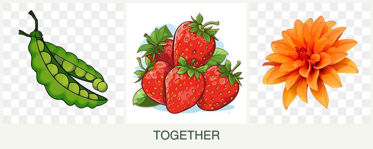Can you plant peas, strawberries and dahlias together?