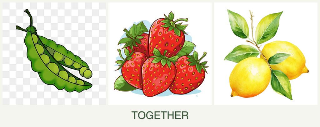 Can you plant peas, strawberries and lemons together?