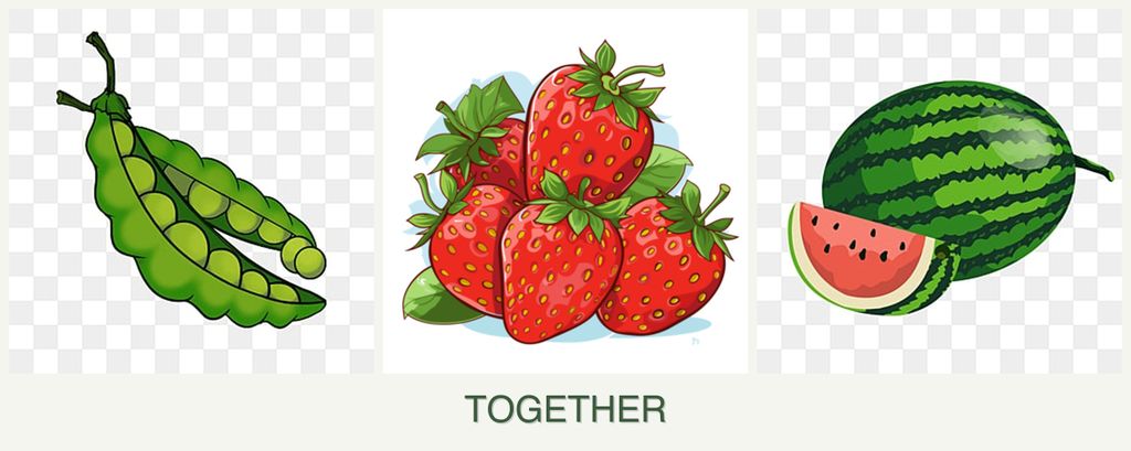 Can you plant peas, strawberries and melons together?