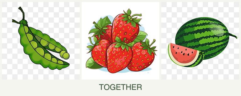 Can you plant peas, strawberries and melons together?