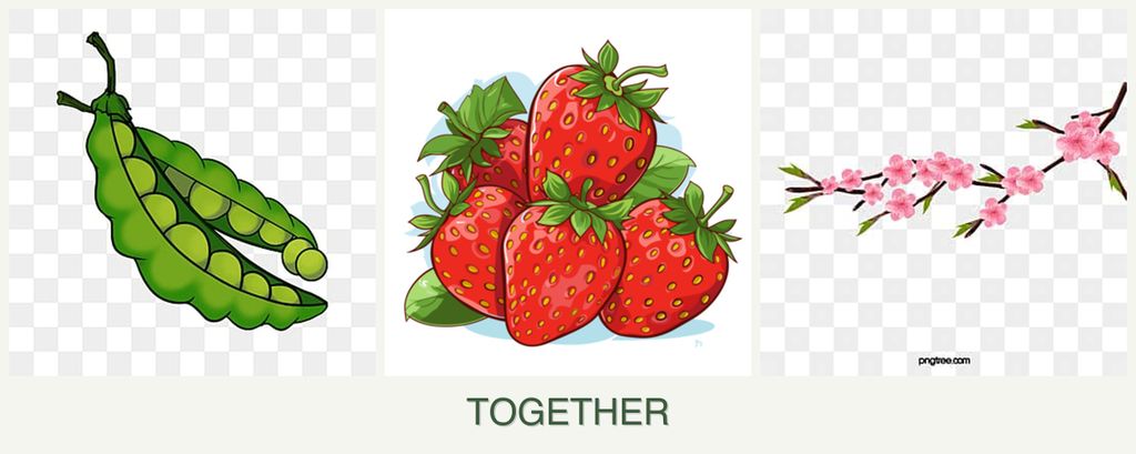 Can you plant peas, strawberries and peaches together?