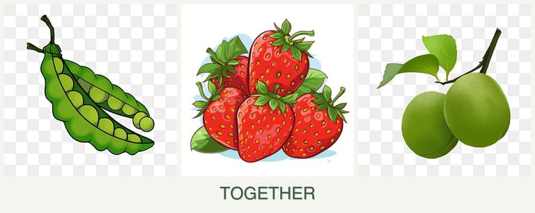 Can you plant peas, strawberries and plums together?