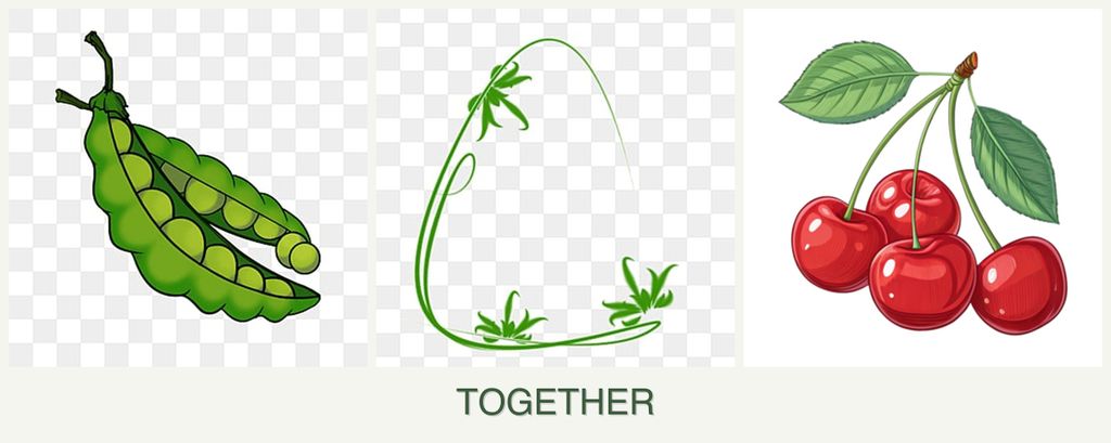 Can you plant peas, tarragon and cherries together?