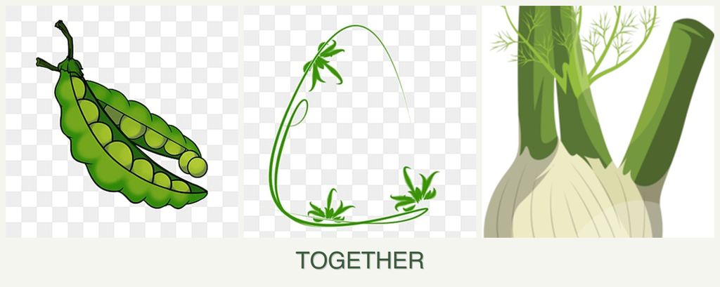 Can you plant peas, tarragon and fennel together?