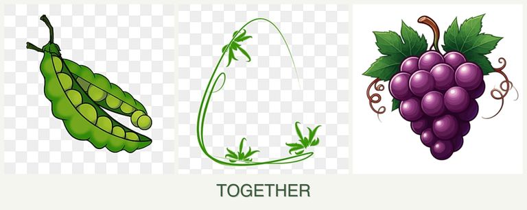 Can you plant peas, tarragon and grapes together?