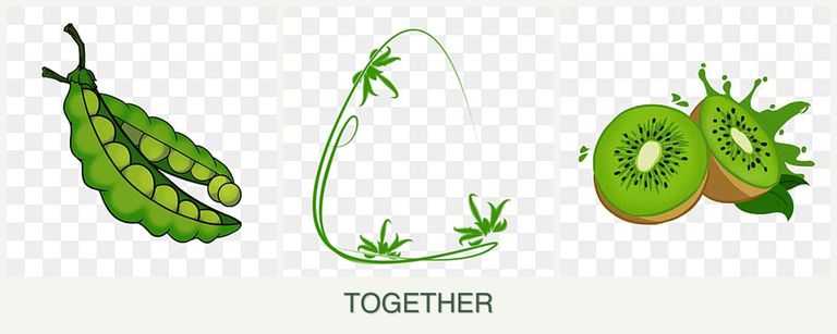 Can you plant peas, tarragon and kiwi together?