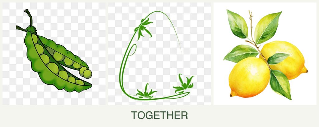 Can you plant peas, tarragon and lemons together?