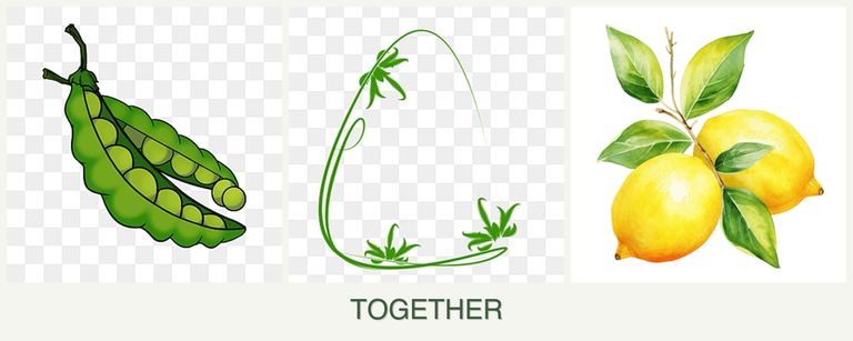 Can you plant peas, tarragon and lemons together?
