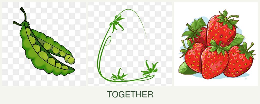 Can you plant peas, tarragon and strawberries together?