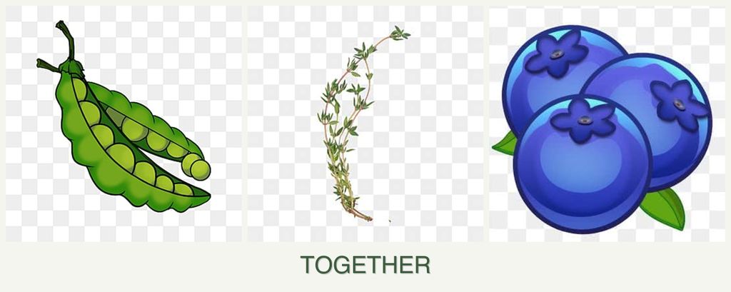 Can you plant peas, thyme and blueberries together?