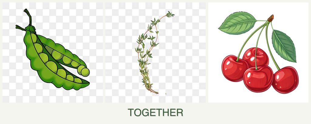 Can you plant peas, thyme and cherries together?
