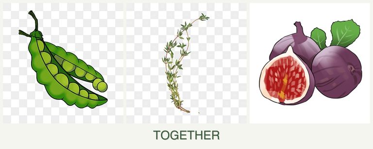 Can you plant peas, thyme and figs together?