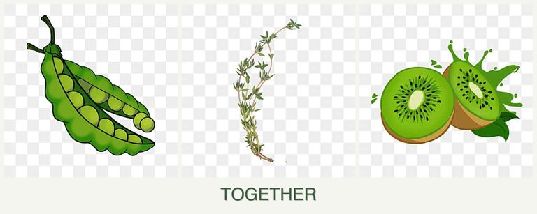 Can you plant peas, thyme and kiwi together?