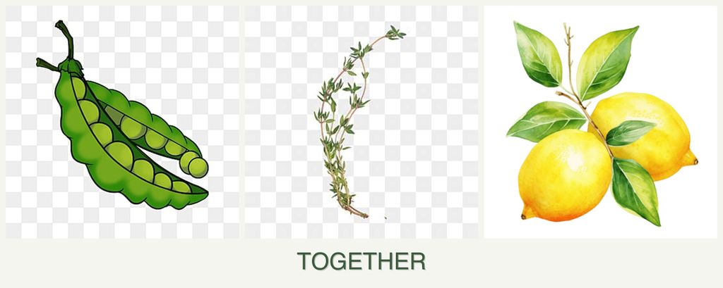 Can you plant peas, thyme and lemons together?