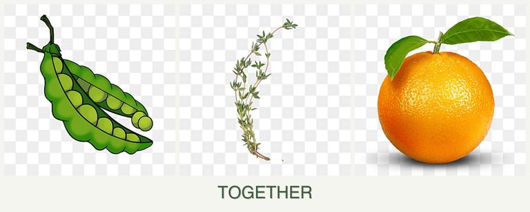 Can you plant peas, thyme and oranges together?