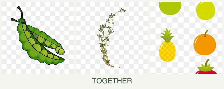Can you plant peas, thyme and pears together?