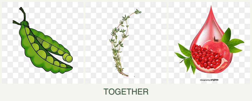 Can you plant peas, thyme and pomegranates together?