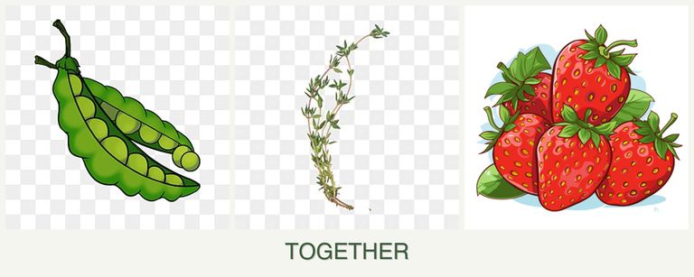 Can you plant peas, thyme and strawberries together?