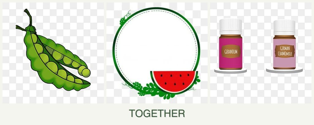 Can you plant peas, watermelons and geraniums together?