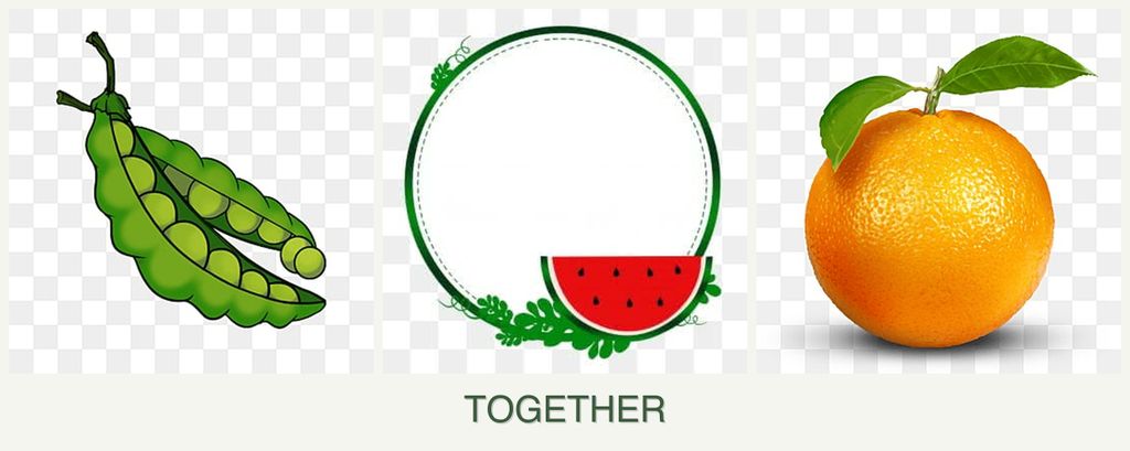 Can you plant peas, watermelons and oranges together?