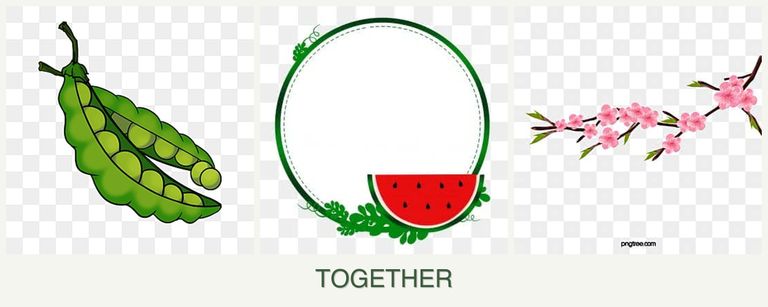 Can you plant peas, watermelons and peaches together?