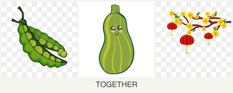 Can you plant peas, zucchini and apricots together?