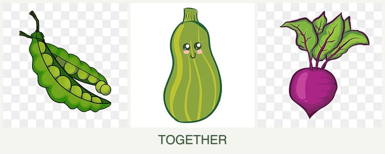 Can you plant peas, zucchini and beets together?
