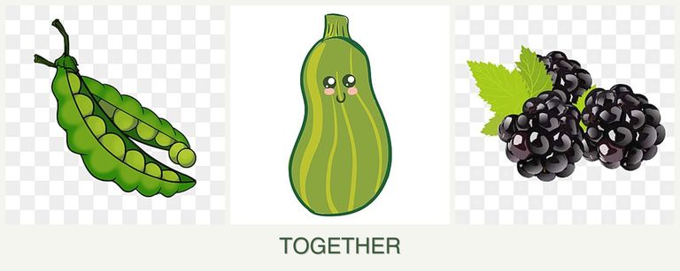 Can you plant peas, zucchini and blackberries together?