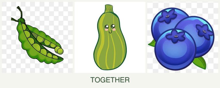 Can you plant peas, zucchini and blueberries together?