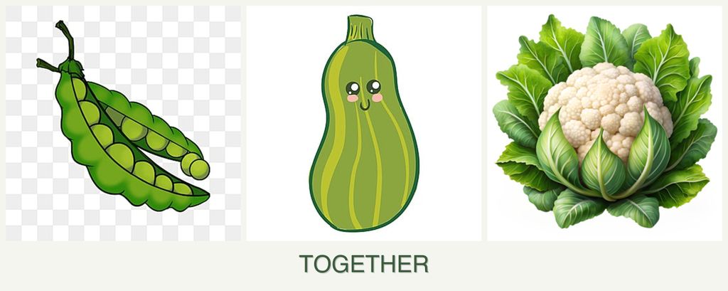 Can you plant peas, zucchini and cauliflower together?